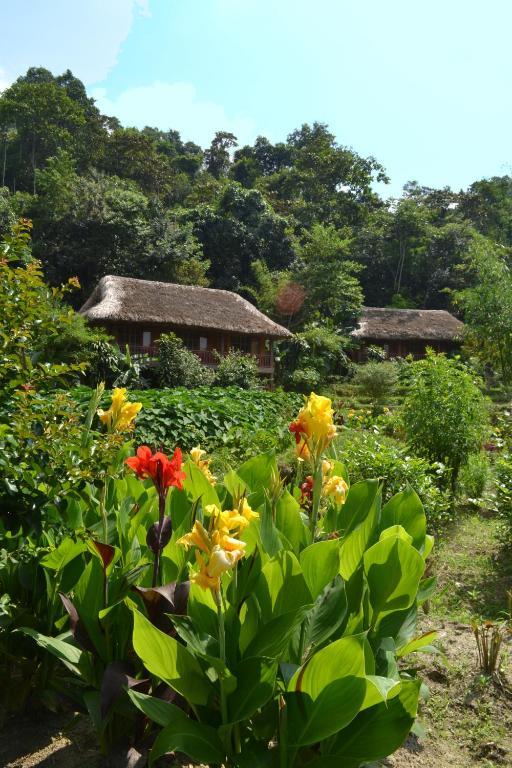 Panhou Retreat Hotel Ha Giang Kültér fotó